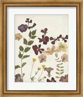 Pressed Flower Arrangement V Fine Art Print