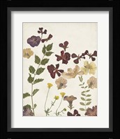 Pressed Flower Arrangement V Framed Print