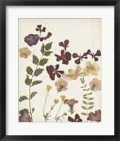 Pressed Flower Arrangement V Framed Print