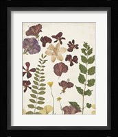 Pressed Flower Arrangement VI Framed Print