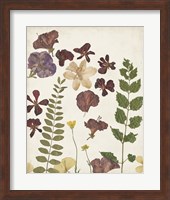 Pressed Flower Arrangement VI Fine Art Print