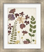 Pressed Flower Arrangement VI Fine Art Print