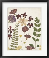 Pressed Flower Arrangement VI Fine Art Print