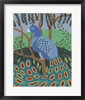 Dandy Peacock II Framed Print