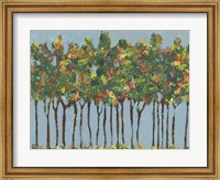 Sunset Trees I Fine Art Print