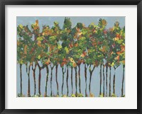 Sunset Trees I Framed Print