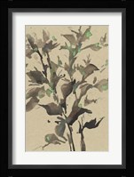 Leaves on Taupe II Framed Print