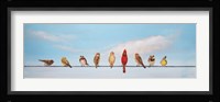 Sweet Birds on a Wire I Fine Art Print