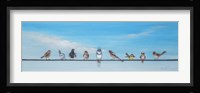 Sweet Birds on a Wire II Fine Art Print