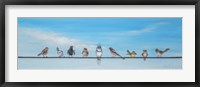 Sweet Birds on a Wire II Fine Art Print