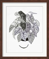 B&W Indoor Plant I Fine Art Print