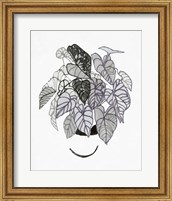 B&W Indoor Plant I Fine Art Print