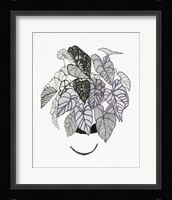 B&W Indoor Plant I Framed Print
