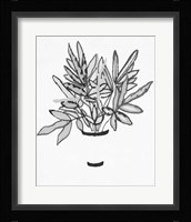 B&W Indoor Plant IV Framed Print
