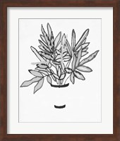 B&W Indoor Plant IV Fine Art Print