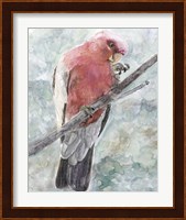 Tropic Parrot I Fine Art Print