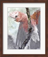 Tropic Parrot II Fine Art Print