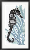 Zebra Seahorse I Fine Art Print
