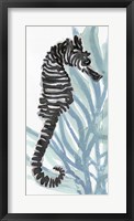 Zebra Seahorse I Fine Art Print