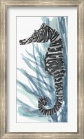 Zebra Seahorse II Fine Art Print