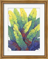 Sunlit Banana Leaves I Fine Art Print