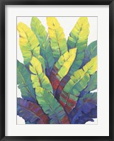 Sunlit Banana Leaves I Framed Print