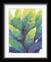 Sunlit Banana Leaves II Framed Print
