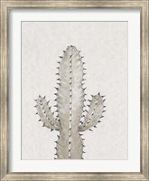 Cactus Study I Fine Art Print