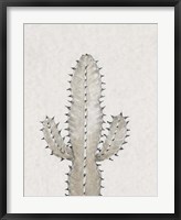 Cactus Study I Fine Art Print