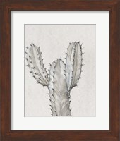 Cactus Study II Fine Art Print