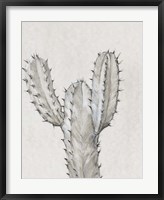 Cactus Study II Fine Art Print