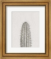Cactus Study III Fine Art Print