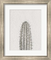 Cactus Study III Fine Art Print