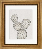 Cactus Study IV Fine Art Print