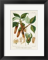 Turpin Foliage & Fruit I Fine Art Print