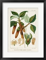 Turpin Foliage & Fruit I Framed Print