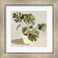 Plant on Stripes II Fine Art Print