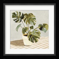 Plant on Stripes II Framed Print