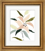 Lily Abstracted I Fine Art Print