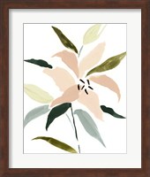 Lily Abstracted I Fine Art Print