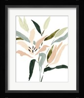 Lily Abstracted II Framed Print