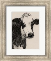 Cow Portrait Sketch I Fine Art Print