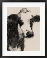 Cow Portrait Sketch I Framed Print