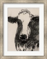 Cow Portrait Sketch II Fine Art Print