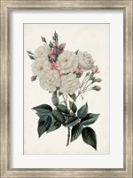 Vintage Rose Clippings IV Fine Art Print