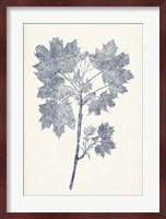 Navy Botanicals I Fine Art Print