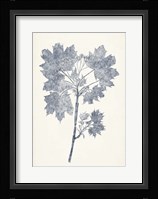 Navy Botanicals I Fine Art Print