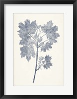 Navy Botanicals I Framed Print