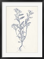 Navy Botanicals II Fine Art Print