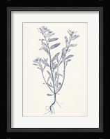 Navy Botanicals II Fine Art Print